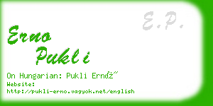 erno pukli business card